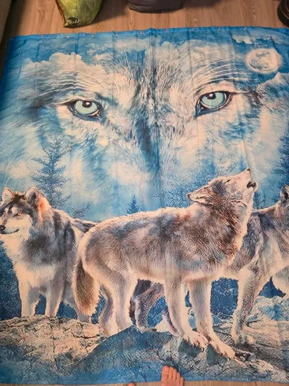 Toilet seat cover and shower curtain